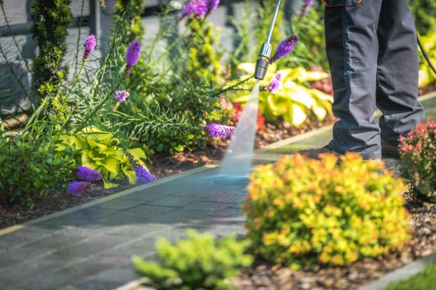 Best Soft Washing for Delicate Surfaces in La Porte, TX