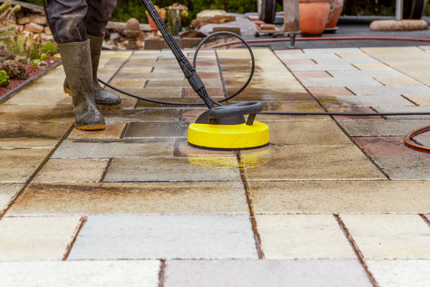 Best Roof Cleaning and Mildew Removal in La Porte, TX