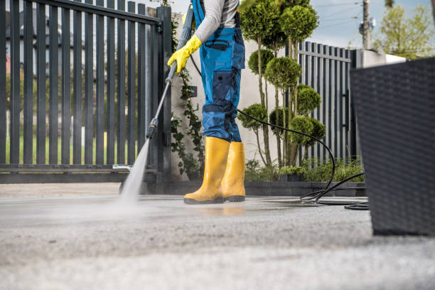 Best Window and Screen Pressure Cleaning in La Porte, TX